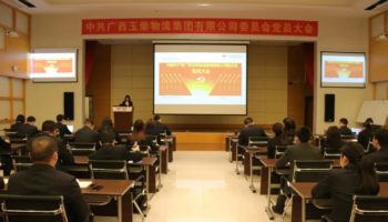 玉柴物流集團(tuán)黨委完成換屆選舉，夯實(shí)黨建基礎(chǔ)