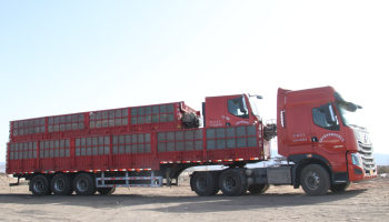 緊抓市場,協(xié)同共促 玉柴物流集團(tuán)助力客戶物流運(yùn)力再升級